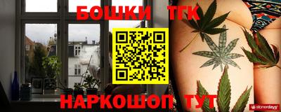 прущие грибы Братск