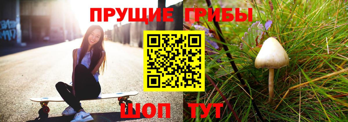 даркнет сайт  Псилоцибиновые грибы ЛСД  Вход с VPN  Саратов 